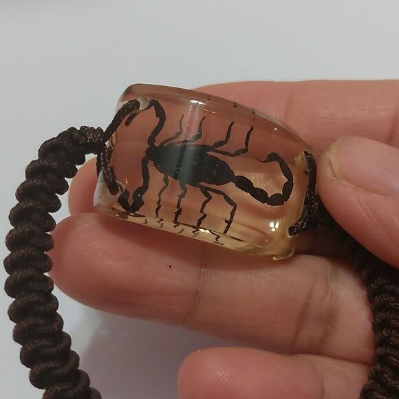 Preserved Real Black Scorpion Brown Adjustable Cord Bracelet - Picture 3 of 5